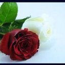 الملحم (@05584765) Twitter