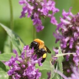 elpinobonito's profile picture. ルパン好き。歴史好き。オペラ好き。 編集兼業主婦。