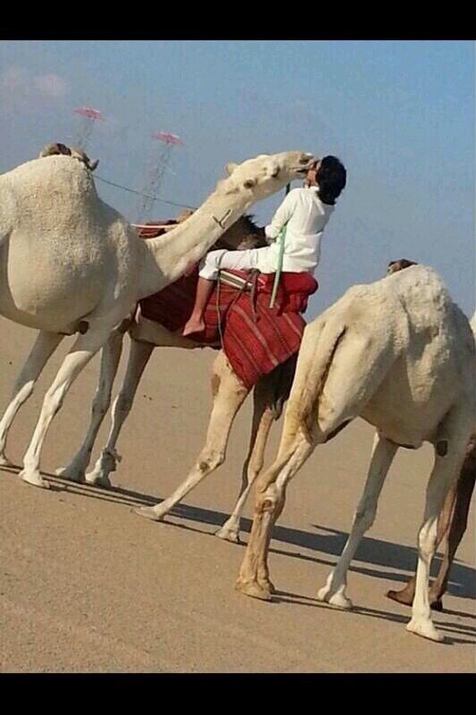 ‏‏‏انا على بيض النوايا تربيت ...ونفوس خلق الله على ماتربت