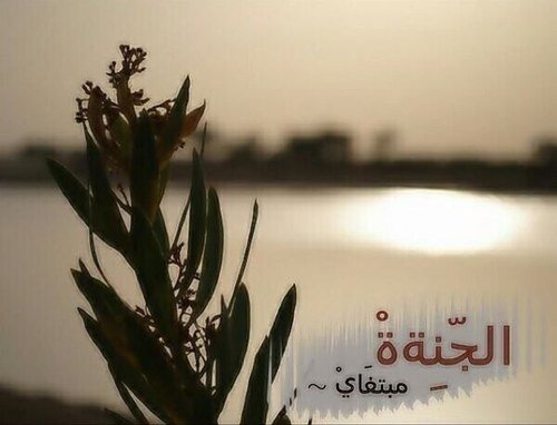 - اللھم لقني (لا إله إلا الله) عندالسكرات ولا تجعل حسناتي حسرات ولا تفضحني بـ سيئاتي يوم ألقاك واجعل قلبي يذكرك ولا ينساك