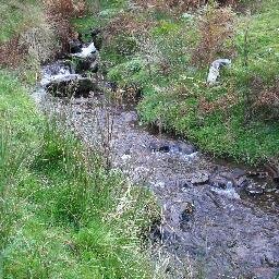 Researching the effects of global change on stream biodiversity, ecological function and ecosystem services since 1981