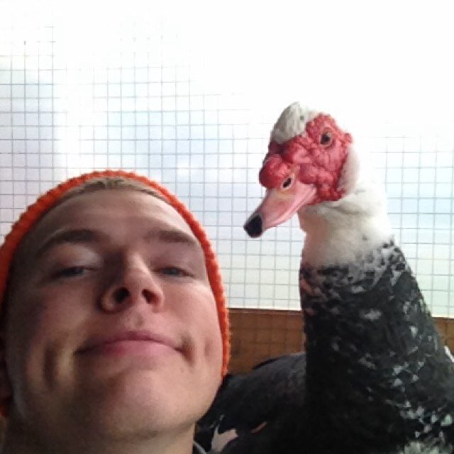 RTKaptein's profile picture. 