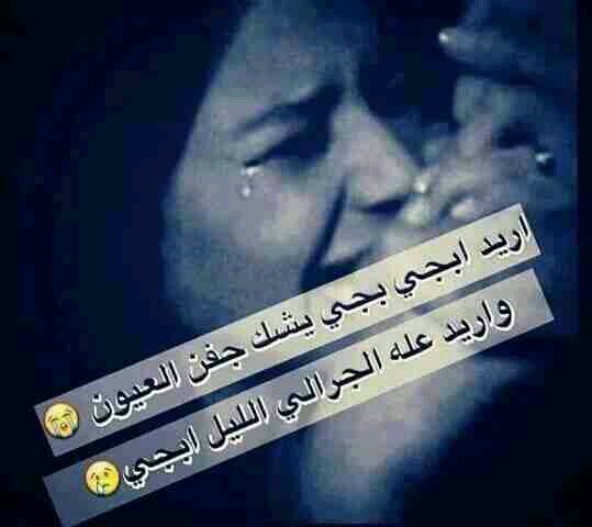 ysh849's profile picture. 