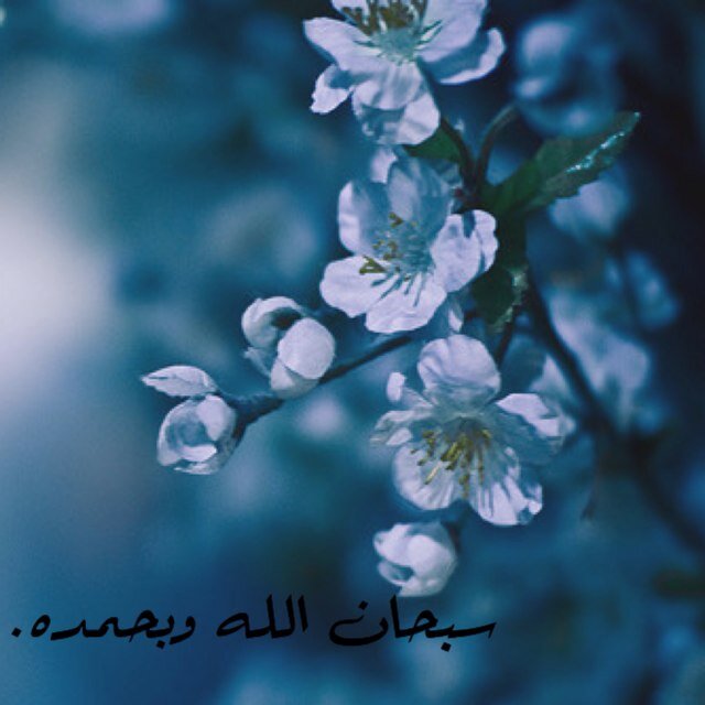 اسعدني مثل ما اسعدتك@Ebtihaj2226الي يسوي هنا فولو راح اسوي له انفولو مفهموم تبي تسوي فولو @Ebtihaj2226