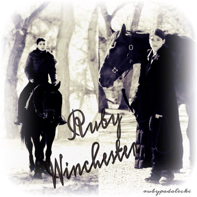 I adore @jarpad , @mishacollins and Jensen Ackles! I'm huge fan of Supernatural!