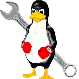 STLinuxOficial's profile picture. Empresa enfocada en instalación y soporte en equipos linux