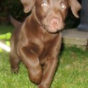 Mark Jefferies - @MarkJ26Jan - Twitter