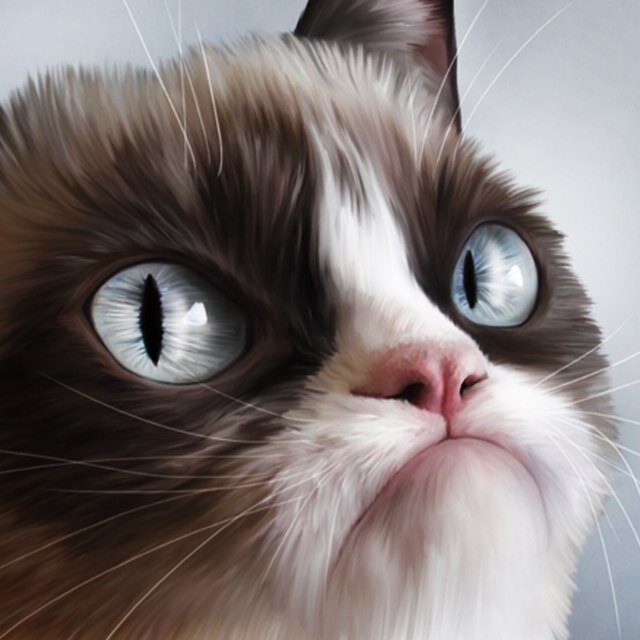 notcargojeff's profile picture. I hate Jeff Sloan