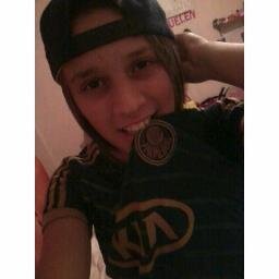 Torcer p/o Palmeiras é cmo ter um filho. Pq da msm forma que nunca abandonamos um filho, nunca deixamos de amar aquele que nos dá tanta alegria.Vlw Palmeiras.