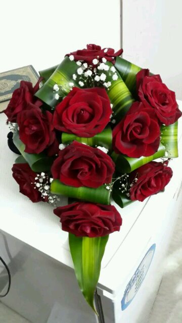 هذا حسابي الجديد lovehayoalbishi