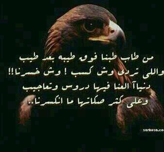 يامرحبا من قلب واحساس وضمير
ترحيبة مثل العسل قـدر ووقـار
من أصـغر متابع ولافيـكم صغير
لين الكبـير وكــلكم عندي كبار
