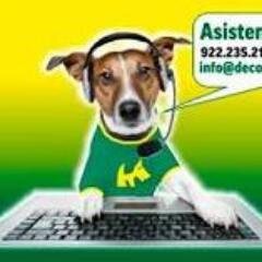 Bienvenido a la página web de DECORACUARIUM, la tienda de mascotas de referencia en Tenerife.