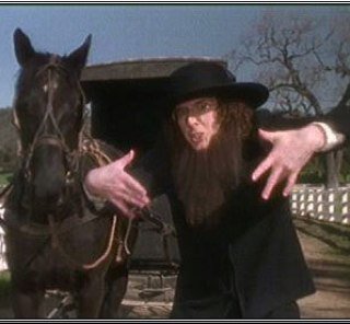 Your regular Amish man who loves long walks on the beach, tanning and shopping.