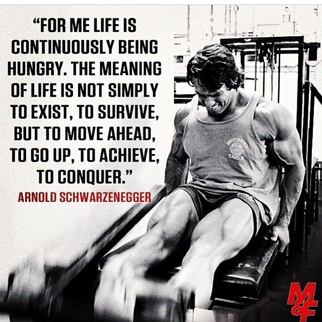 What would #gymrat #meathead say or do. some stuff is #funny, #motivational, #positive and #negative fallow everyone back