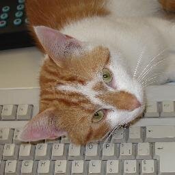 annie47's profile picture. Fotografieren, kreuzworträtseln, mein Gemüsegärtchen, Katzen-Vogelfan, tierlieb. Folge nicht unbedingt zurück. 
Bitte keine DM!