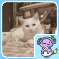 takatyan (@takatyan) 's Twitter Profile