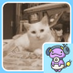 takatyan (@takatyan) Twitter profile photo takatyan (@takatyan) Twitter profile photo