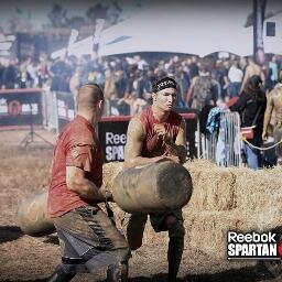 DominicViola's profile picture. 