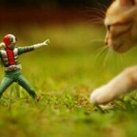 fillbert.njoko (@fillbert21) 's Twitter Profile