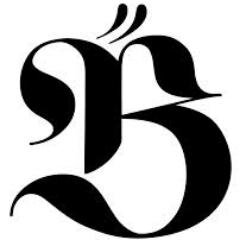 brajeshkumar24's profile picture. 