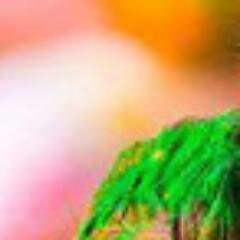 Takip edeni takip ettiğim gibi, takip etmeyeni takip etmiyorum.