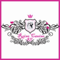 Hondentrimsalon - 31 20 528 9522