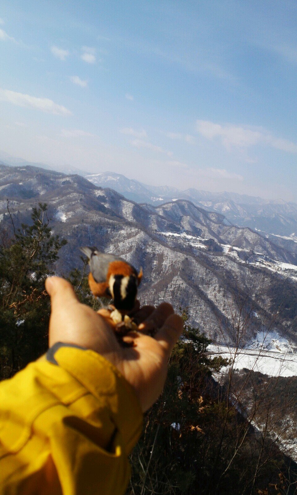 안녕하고 싶소^^