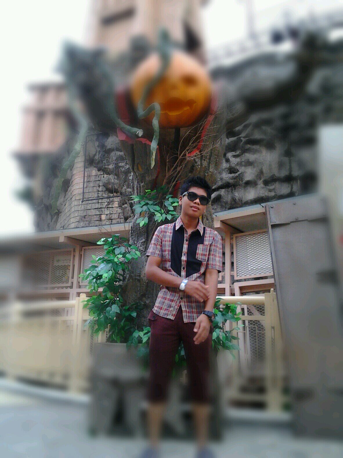 nas_serizawa's profile picture. 