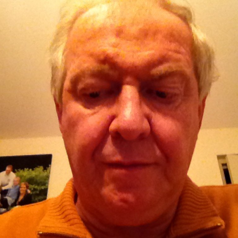 VdTini's profile picture. 