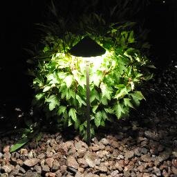 Rispenslandscap's profile picture. 