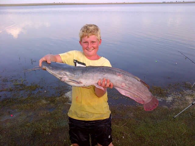 GawieMichelle's profile picture. Hello please follow me you can ask me about annything and i will get aNswers and n will post cool stouff here to