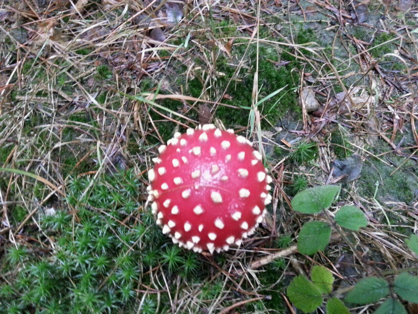 de la Provence à la Normandie. et vice versa 😉