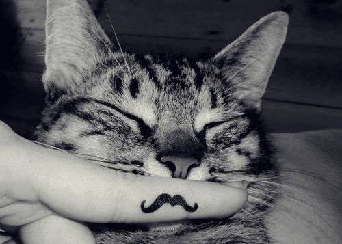 lisa_we88's profile picture. 