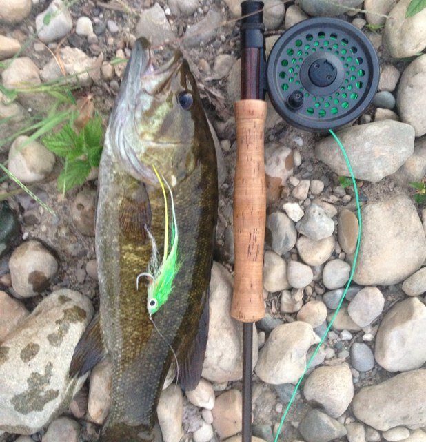 im_the_landlord's profile picture. 