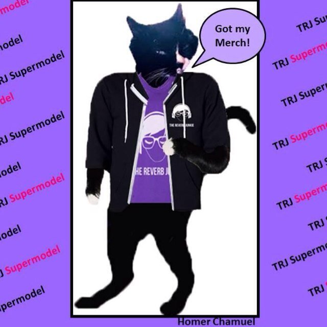 I am @MichelleChamuel's cat Homer, or Homes. I secretly do love Michelle's music but please don't tell her.