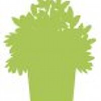 NPP (@nppnyc) Twitter profile photo