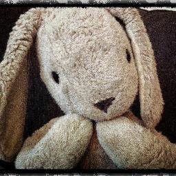 Hi, I'm bunny! A lover of anything with floppy ears