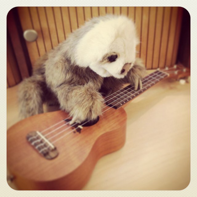 SandersonSloth's profile picture. I'm a two-toed sloth who loves to hang out at the Shelley Milner Children's Library. Come by and say hi.