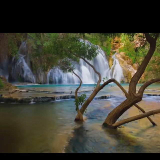 Picture