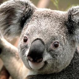 enricostenker's profile picture. 