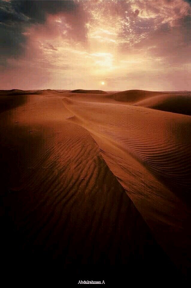 CMjki681's profile picture. ‏ماجد بن فهد __الرياض __ حسابي_2_ .-..-.
`·.·´
●/
/▌
/ \