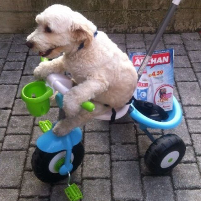 kristianrota's profile picture. 