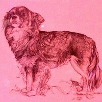 Mission Cantina (@cantinanyc) 's Twitter Profile