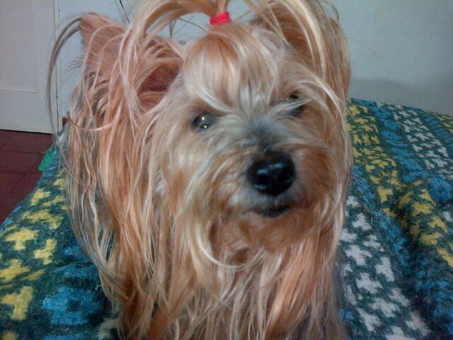 MonicaF_Mia's profile picture. 