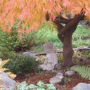 Beth Kunz - @Beth_Kunz - Twitter