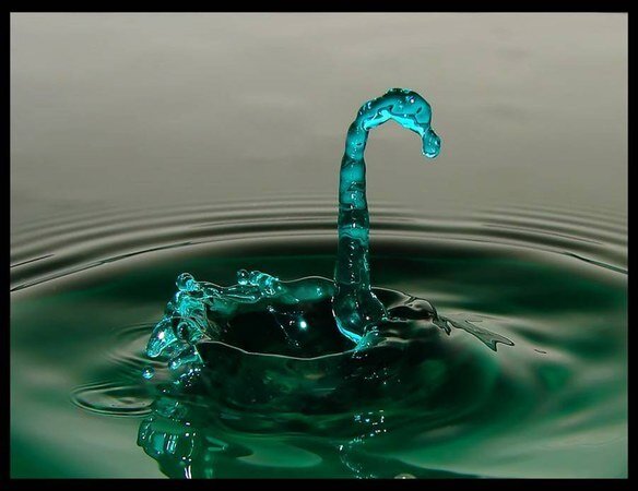 cuidamoselagua's profile picture. El Colegio Santo Tomás de Aquino, Mendoza, valora, cuida y promueve el buen uso del agua, recurso insustituible para la vida. ¡UNITE!