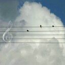 عْ ــزَف منفّـرد♪.. (@025Rizk) Twitter