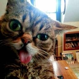 XXebian's profile picture. Todo lo escrito aqui puede ser (y será) usado en mi contra........