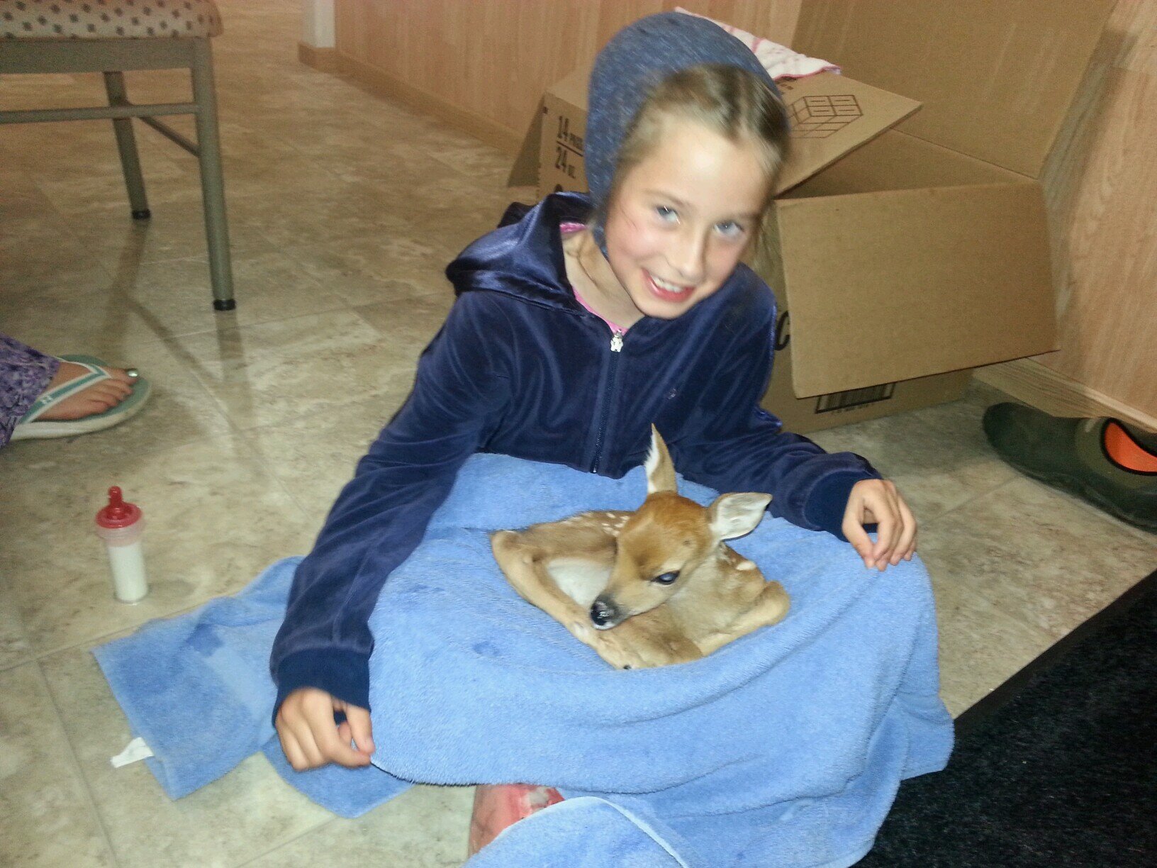 tobywaldner's profile picture. 