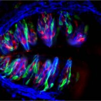 Dando Lab (@dandolab) 's Twitter Profile Photo Dando Lab (@dandolab) 's Twitter Profile Photo